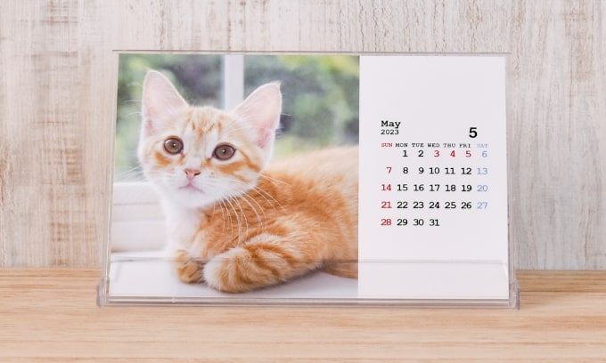 ペット× Postcard Calendar