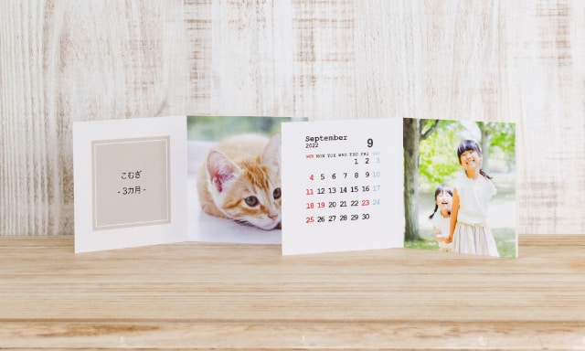 Petit Photo Panel