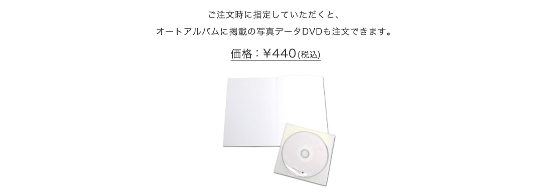 データDVD（オプション）