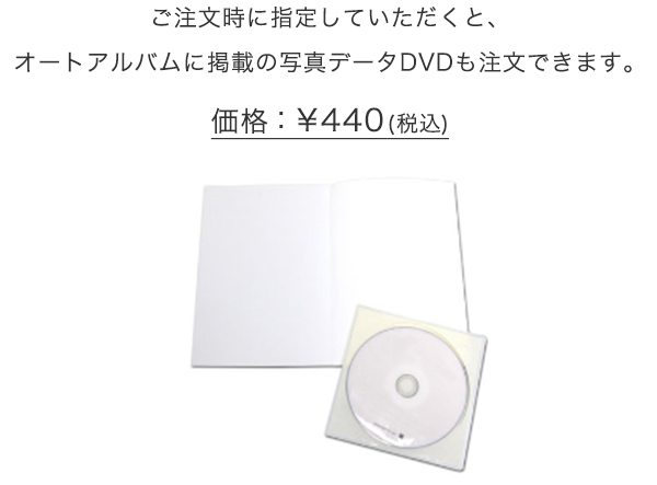 データDVD（オプション）