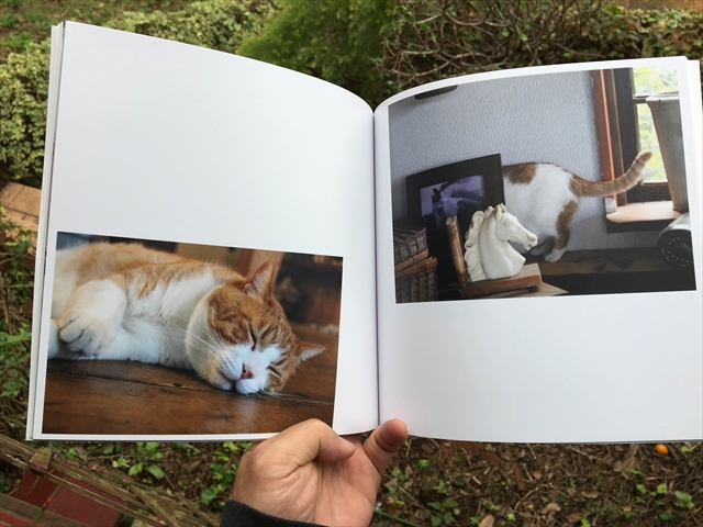 フォトブック「CATOO」の画像