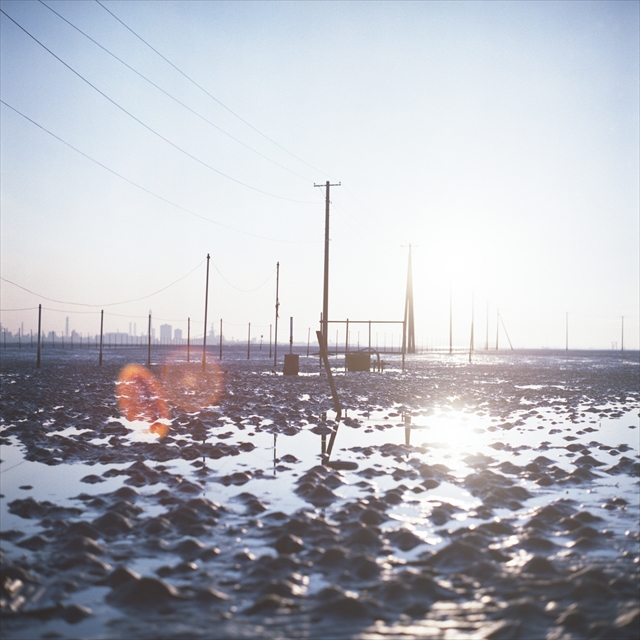 「いいね！」がつきやすいのは&ldquo;フワッと&rdquo;した写真