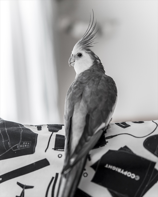 rie_mrmtさんが感じる新しい&ldquo;写真&rdquo;の可能性