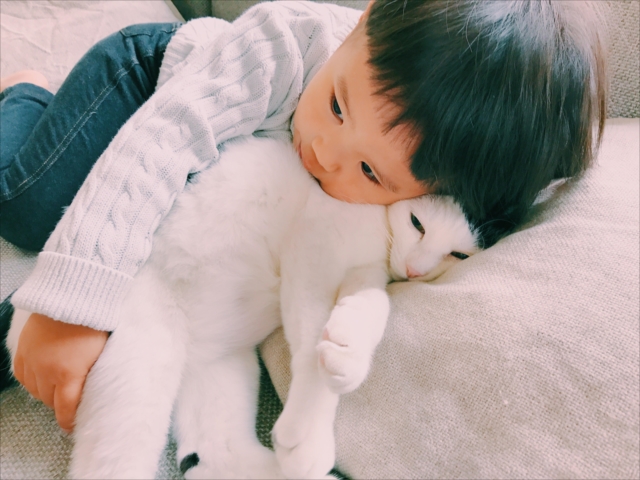 &ldquo;いいね&rdquo;が多い写真は、ふたりの掛け合わせがおもしろい写真