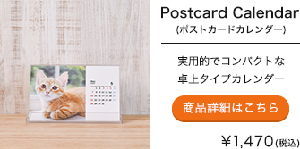 商品イメージ